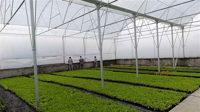 احداث گلخانه جدید شهرداری گلپایگان؛ گامی راهبردی برای پشتیبانی از ۱۷۰ هكتار فضای سبز شهری